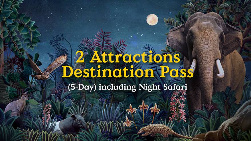 2 Attractions Destination Pass (5-Day)